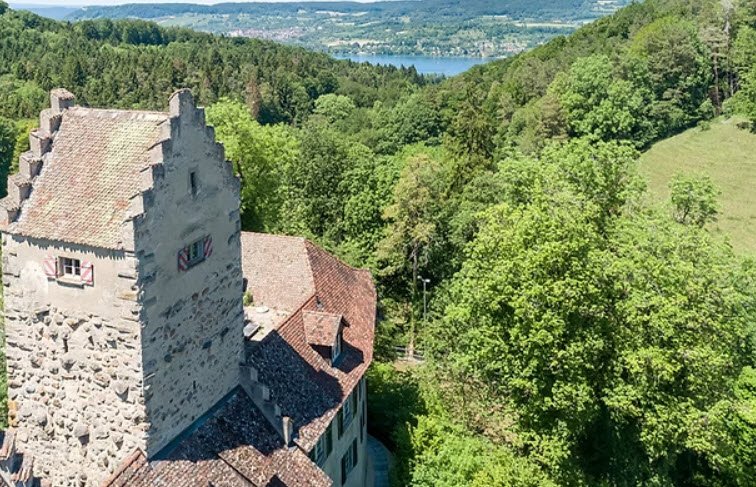 Schloss Liebenfels, Herdern, Switzerland